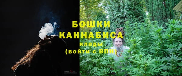 дживик Верея