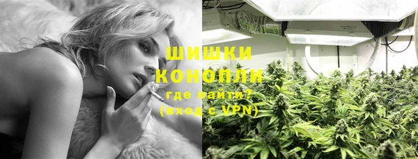 дживик Верея