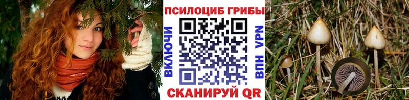 Псилоцибиновые грибы GOLDEN TEACHER мега ССЫЛКА Серафимович