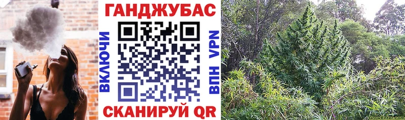 KRAKEN сайт  Серафимович  Канабис сатива 
